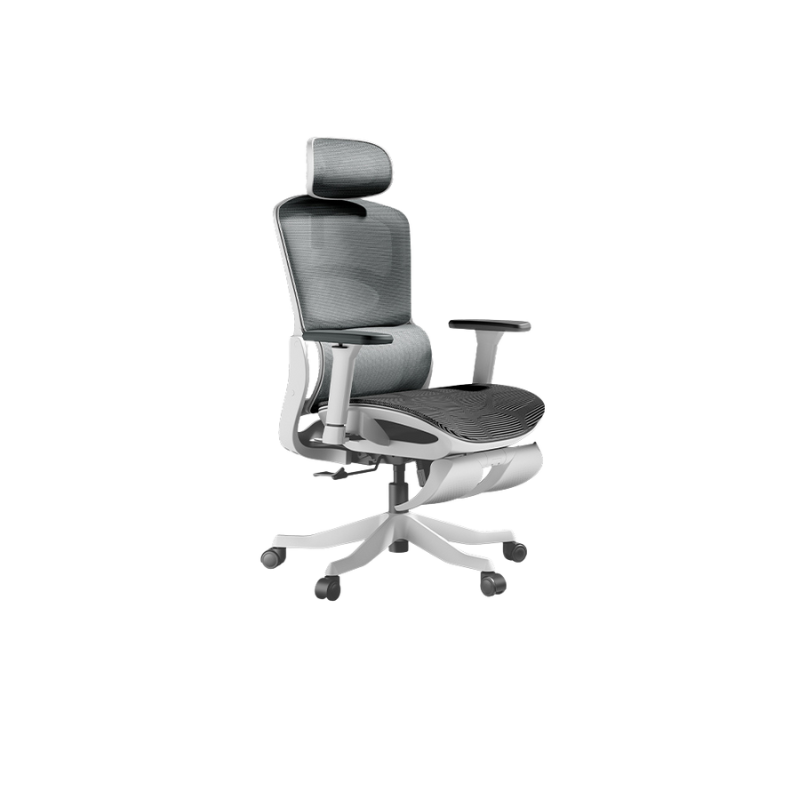 Autofull HBADA P2 Pro+ ergonomic chair
