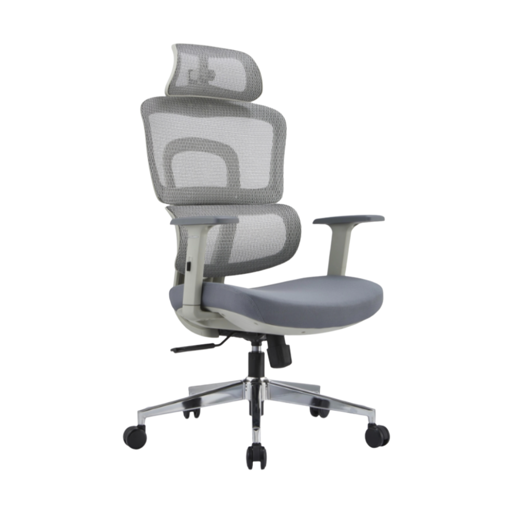 iCraft ErgoCraft Basic Ergonomic Gaming Chair With 2D Headrest & Lumbar support (Grey)