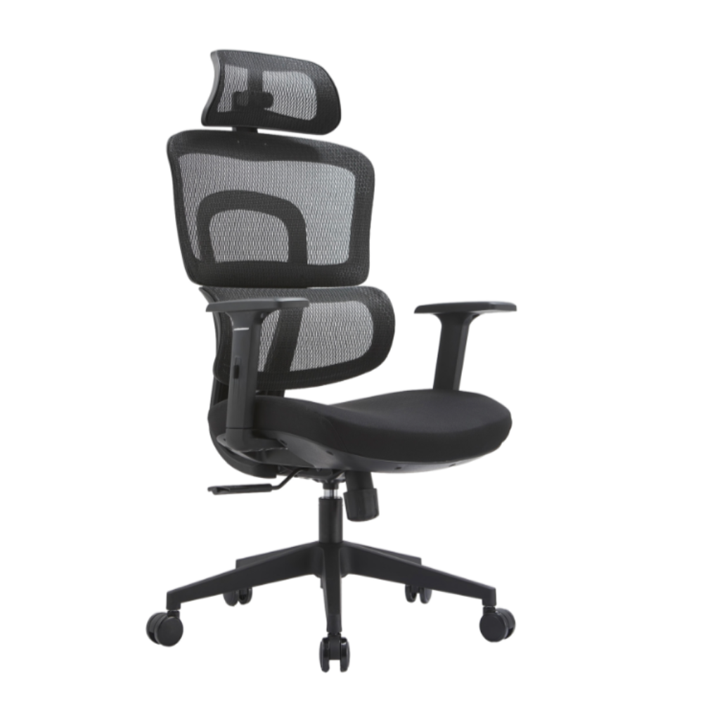 iCraft ErgoCraft Basic Ergonomic Gaming Chair With 2D Headrest & Lumbar support (Black)