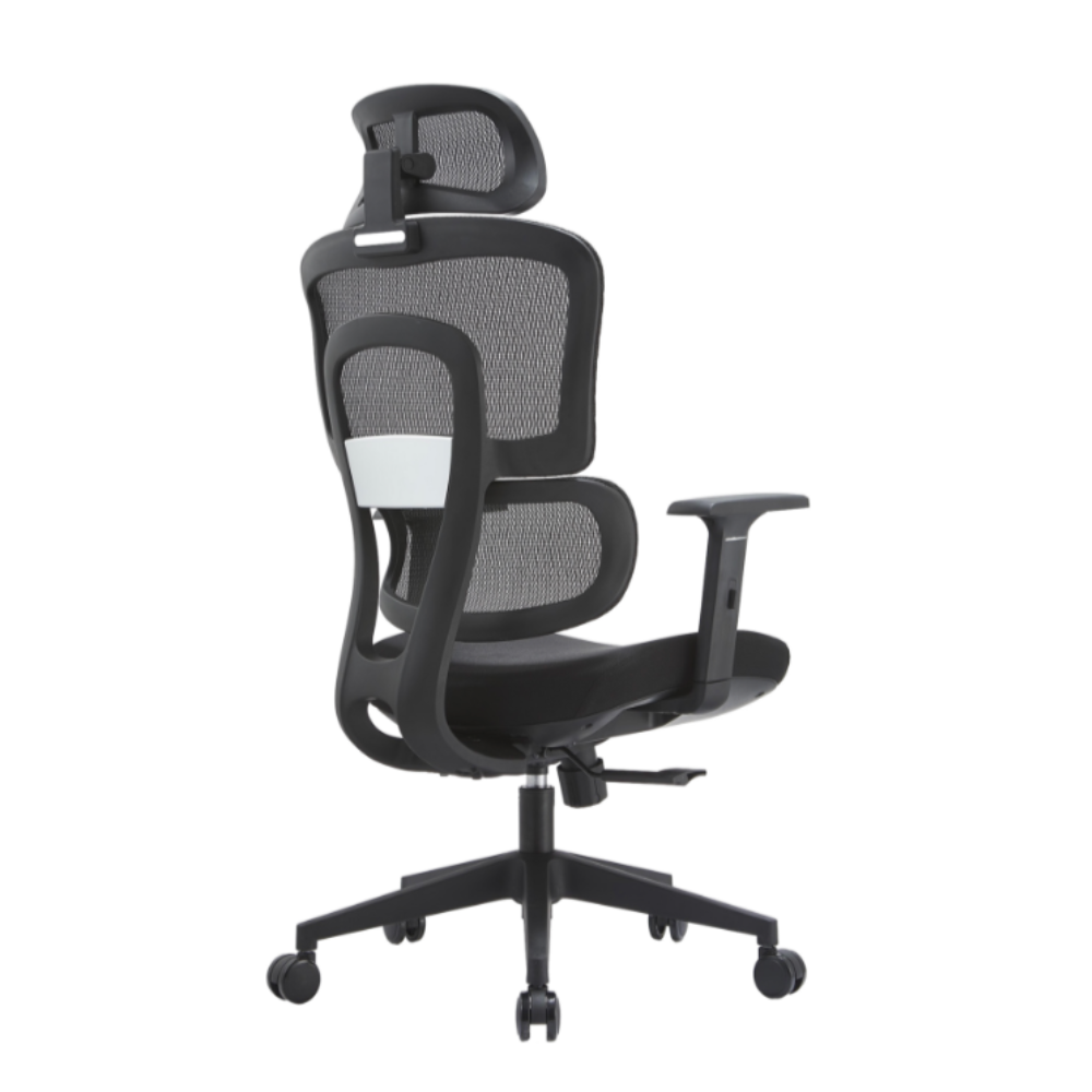 iCraft ErgoCraft Basic Ergonomic Gaming Chair With 2D Headrest & Lumbar support (Black)