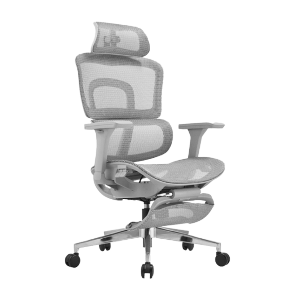 iCraft ErgoCraft Pro Ergonomic Gaming Chair With 4D Armrest & Lumbar support (Grey)