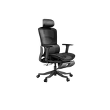 Autofull HBADA P2 Pro+ ergonomic chair
