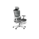 Autofull HBADA P2 Pro+ ergonomic chair
